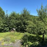 Aussicht Schlafzimmer