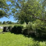 Garten (5)